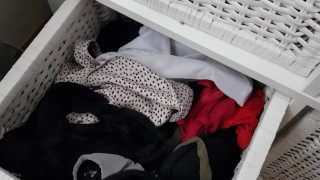 Panty Drawer from step sister - so many panties