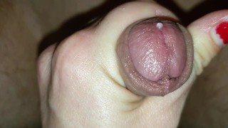 letting cuckold out of his cage. Hard handjob cum denial 