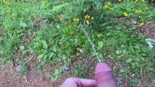 Pissing outdoor in the forest