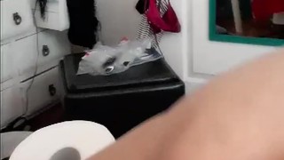 Bottle Training