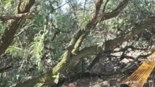 Berdyansk distant spit.