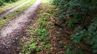 Pussy schlagen direkt am Feldweg - Trailer
