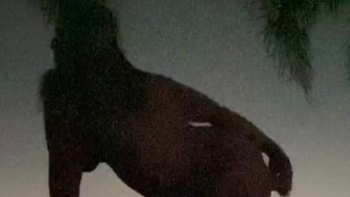 Midnight outdoor ass fucking 