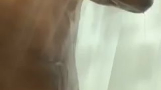 BBC in shower