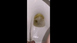 Week 29 Pee diary