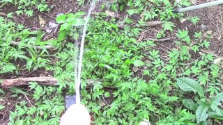 SixPack Piss Tuesday 11th Angle 2