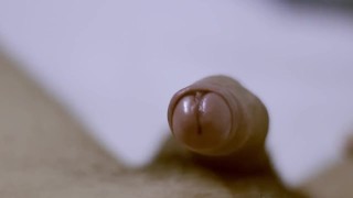 CUM FLASH SENSITIVE SLOW