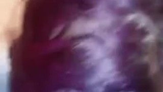 Kitten gets glasses pissed on