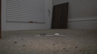 amaninheels | Giant Crossdresser | Giant Sneaker Wedges Dominate (teaser)