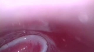 inside camera creamy pussy 
