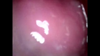 inside my cum filled pussy