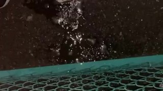 outdoor pee [野外放尿]