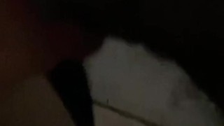 Random Slutty Latina gives sloppy blowjob in Storage Unit 