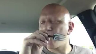 piggy eating cake in car