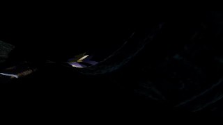 My Fans Video Demo 12