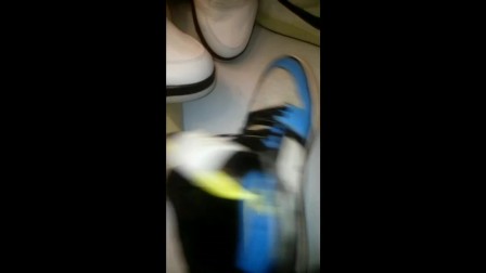 New and old Sneakers Cum