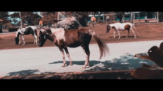 HOLIDAY VLOG Caffé SKTER10 JOURNEY (EPISODE 1)