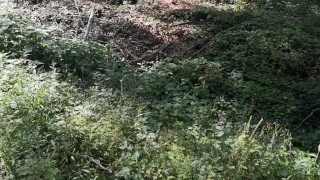 Schamlippen langziehen direkt an der Strasse