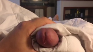 Teasy Dripping and Tasty