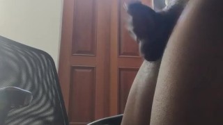 I CAUGHT THE RECORDING 4TH TRY