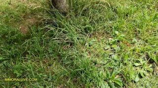 Teenager w/ Huge Tits Taylee Wood Gets Tag Teamed by StepDad & His Boy with Big Cock