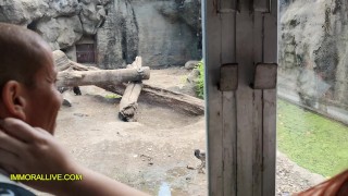 ANNOYING STEP SISTER GOES TO THE ZOO WITH HER BRO - Chubby Teen with Big, Round Ass is a Nympho!