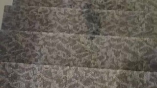 Quick public piss on the stairs