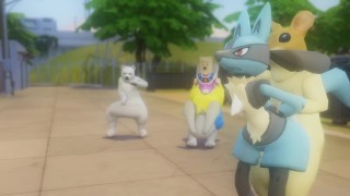 A Wild Pokemon Has Appeared