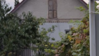 It seems that this year the watering hose will no longer be needed.