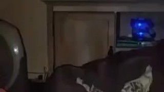 Daddy Cums Harrddd