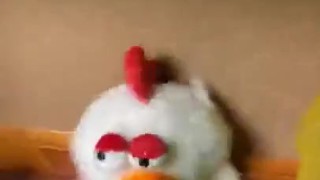Playing with 17 Cocks