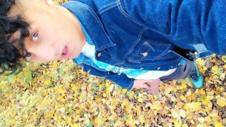 Autumn peeing on dry leaves in a park