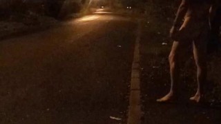 Nude walk down road 