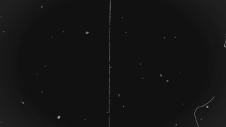 Vault Dweller Gets Used by Raiders Preview