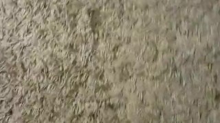 breaking no nut (and no piss) november, fuck it