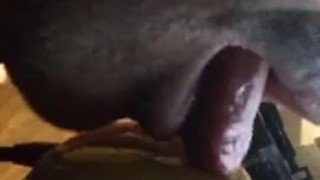 jerking#2