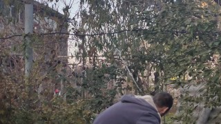 You need to plant some garlic.