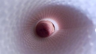 Vue de l'intérieur d'un Fleshlight