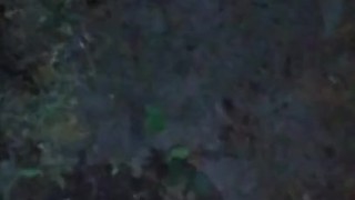 Pissing on the fire