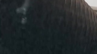 The aftermath (cum dripping) 