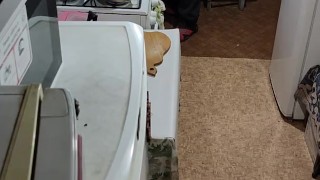 Sweet dairy with rice.