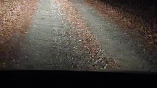 Public nudity and bottle insertion on dirt road