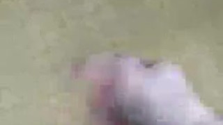 THE NEW AND IMPROVED BONER BILL GBB GREAT BIG BALLS MASTURBATION SEX TAPE 