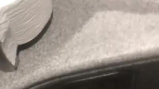 LilHorse jacks off his long dick in public bathroom at the bus station 