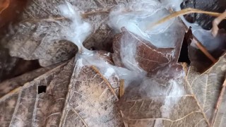 Cumshot in the park and showing cum on the ground close up