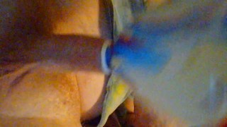 Titty Play Time