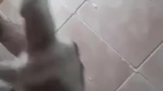 Masturbation in the bathroom / Masturbacion en el baño 