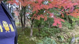 養浩館庭園にきてがっかりした男