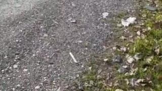 Maevaa Sinaloa - Je suce un inconnu et prend une facial en public au bord de la route