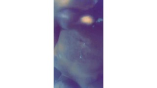 Playing With My Toys